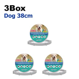 Flea Collar 8 Months Protection Pet Anti Flea Tick Neck Collar Natural Flea and Tick Prevention Collar for Dogs and Cats