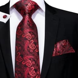 Hi-Tie White Red Striped Paisley Solid Wedding Tie For Men Design Mens Necktie Hanky Cufflink Business Party Dropshipping
