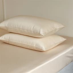 100% Mulberry Silk Pillow Case 2pcs Natural Real Silk Protect Hair Skin Pillowcase Customized Size Bedding Pillow Cases Cover