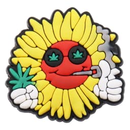 1pcs PVC Shoe Charms Buckle Hat Cactus Succulent Tree Potted Lily Kiwi Sandals Shoes Decoration Fit Wristbands Accessories