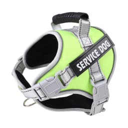 Personalized Name Dog Harness Adjustable Golden Retriever Labrador Dog Harness Reflective for Large Dogs Dog Walking Accessories