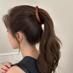 A one-character twisted banana clip, a high ponytail clip, a hair clip at the back of the head, and a female headpiece
