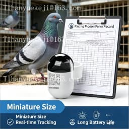 Pigeon GPS Locator for Outdoor Flying-- New Waterproof Mini Real Time Pigeon GPS Locator with 4G Network
