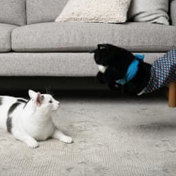 Cat Pet Toy Gloves Interactive Cat Wrestling Puppet Toys - Fun Play Gloves, for Cats Wrestle Play, Pet Supplies