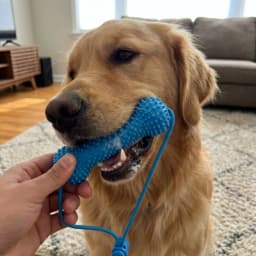 Bite-Resistant Dog Teething Stick Anti-choking Chew-resistant Pet Teeth Cleaning with Rope Dog Chew Stick Interactive Tug