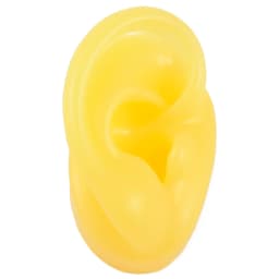 1PC Flexible Silicone Ear Model for Piercing Left and Right Human Ear Molds Jewelry With Exhibits Props