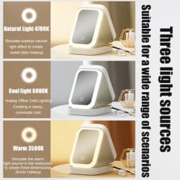 LED Mirror Makeup Storage Box Cosmetics Storage Box Fashion Portable Travel Makeup Bag Simple Makeup Case with Mirror for Woman