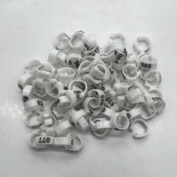 100 Pcs/set Inner Diameter 8mm Pigeon Leg Poultry Dove Bird Parrot Clip Rings Band Foot Ring Pigeon Supplies Bird Appliances