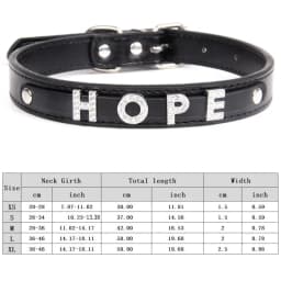Custom Cat Dog Collar Personalized Rhinestone Puppy Collars Adjustable Letter Crown Charm Name Dog Necklace Chihuahua Id Collar