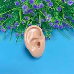 Earring Display Stand Ear Model Ear Clip Stud Jewelry Display Organizer Holder Window Counter Ear Stud Showcase Props