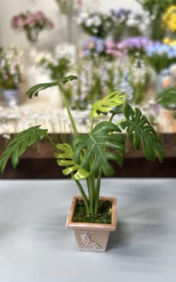 1:6 Miniature Plant Set, Handmade Realistic Fern Maple Caladium Potted,Exclusive Custom Sizes BJD Dollhouse Garden Bjd Decor Art