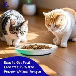 Oitabi 3PCS Cat Food Bowl, Ceramic Cat Bowls, Anti Whisker Fatigue Cats Bowl Set, Shallow Wide Kitten Plates for Food and Water