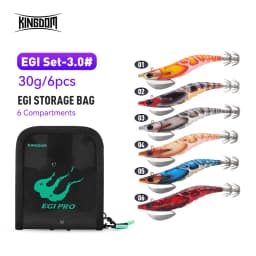 Kingdom 6pcs EGI Squid Bait Set 2.2# 2.5# 3.0# Artificial Jigging Lures Sea Fishing Octopus Cuttlefish Luminous Sinking Lure