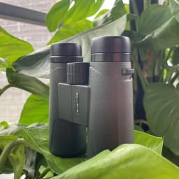 SUNCORE 10X42Green Binoculars - High-Performance, Durable, and Perfect for Outdoor Adventures