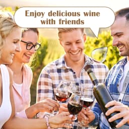 Wine Aerator Decanter Red and White Aerator Pourer Makes Your Wines Taste Better Italian Design Decanter Whiskey and Spirits Gif