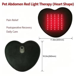 Red Light Led Therapy Physiotherapy Equipment for Pet Dog Pain Relief Pain Reduce Veterinary Use