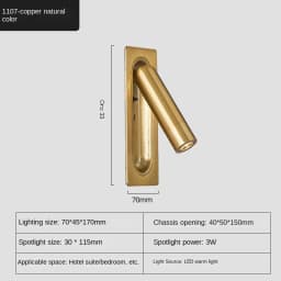 Modern LED Wall Lamp Embedded Wall Lamp Bedroom Bedside Living Room Study Indoor Reading Light Black/copper with USB Interface
