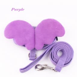 Angel Wings Pet Harness and Leash Set for Cats Puppy Rabbit Cute Cat Harnesses Kitten Accessories Artículos Para Mascotas Lead
