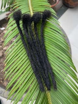 6-20 Inch 100% Human Hair Inter Loc Extensions 0.6cm Width Full Handmade Dreadlock Extensions for Men Women Kids Can Be Dye
