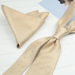2pcs Neck Ties Set New Arrival Wine Red Striped Neckties Formal Business Khaki Dots Floral Pocket Square Wedding Shirt Cravat