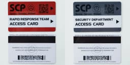 High Quantity Text Clear Letters Printed PVC SCP Hard Card Patches,top Hardboard,hardcard 8.5*5.5CM WF23461