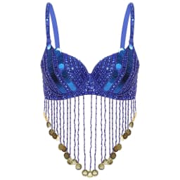 Womens Tassels Belly Dance Costume Shiny Beaded Underwired Bra Sequins Music Festival Party Tops Rave Party Halloween Costumes