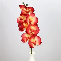 8 Heads Big Silk Artificial Flower Branch Orchid Phalaenopsis Black Burgundy Wedding Home Decor Flowers Potted Orchid Wholesale