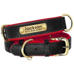 Personalized PU Leather Dog Collar Soft Padded Dog Collars Free Custom Pet ID Name Necklace for Small Medium Large Dogs Pitbull