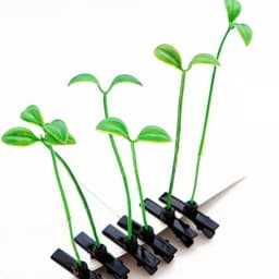 5-100pcs Grass Style Hair Clips Cute Sprout Plant Hairpins Novelty Hair Accessories for Women Girls Party Cosplay Funny Headwear