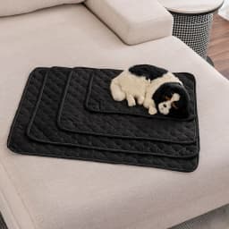 Reusable Dog Pee Pad Environment Protect Pet Diaper Mat Pet Diaper for Small Medium Large Dogs Dog Training Mat