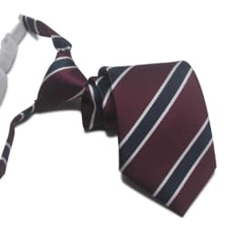 Polyester JK Necktie Simple Plaid Neckwear Striped Neck Tie Clothes Accessories Cravat Uniform Bow Tie Women Men