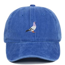 Baseball cap suitable for all seasons, pigeon embroidery pattern, men's and women's daily casual fashion, outdoor sun protection