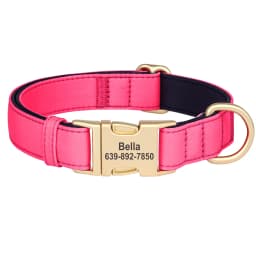 Personalized Dog Collar Waterproof Nylon Dog Collars Soft Padded Pet Necklace Free Engraved for Small Medium Large Dogs Pitbull