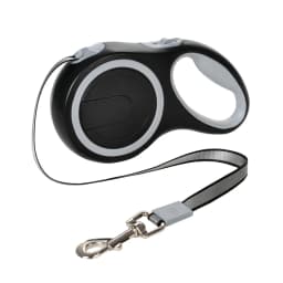 5 Meters 8 Meter Retractable Dog Leash For Small Big Dogs Outdoor Hiking Puppy Nylon Traction Belt Golden Retriever Pet Supplies