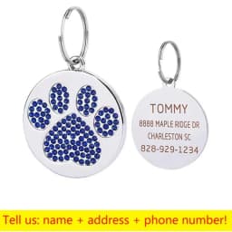 Stainless Steel Engraved Pet Name Collar Pendant ID Tags Personalized Anti-lost Engraved Diamond Pendant Necklace For Cat Dog ID