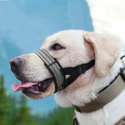 Reflective Tactical Masks for Medium Large Dogs Weimaraner Labrador Type 7 Semi Closed Pet Mouth Cover Big Dog Accessories