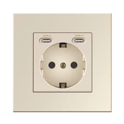 NYWP Wall USB Plug with EU Standard Double Plug 16A Wall Embedded AC 110V-250V New Style Panel Room Socket