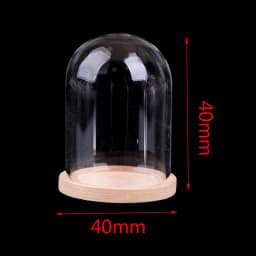 1:12 Dollhouse Miniature Decor Flower Display Glass Display Bell Jar with Base