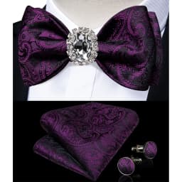 Classic White Selr-tie Bowtie with Ring Pocket Square Cufflinks Set Fashion Solid Men's Bow Tie for Wedding Groom Business Knots