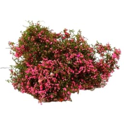 Miniature Climbing Vine Model, Artificial Leaves for Diorama, DIY Railway Scenery, Fake Foliage Plants for Architectural Model