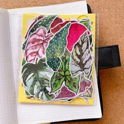 50pcs Cute Plant Leaf Handbook Sticker Material Small Fresh Handbook Stickers Children's Photo Album Growth Record Decoration