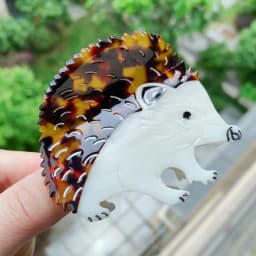 Novelty Bird & Hedgehog Acetate Hair Claw Clips, Whimsical Hummingbird Parrot Shark Clips for Women Girls
