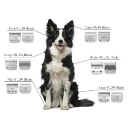 3F,4F,5F,7F,9#,10#,30#,40#,50# Professional Pet Dog Clipper Blade For Most Andis,Oster A5,Wahl KM Animals Clippers