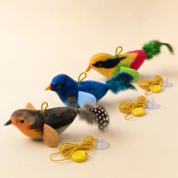 Interactive Hanging Cat Toy Bird Teaser with Elastic Rope Sound Catnip Indoor Wall-Mounted Toy for Cats Kittens Chasing Play