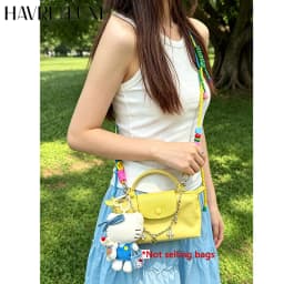 Woven Bag Shoulder Strap For Mini Longchamp Colorful Bag Durable Fashion Good Quality Bag Modification Bag Accessories
