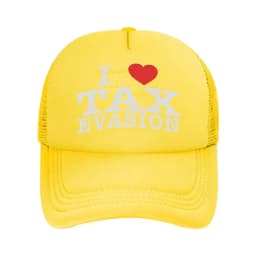 “Tax Evasion Humor, Meme Design” Mesh Baseball Cap