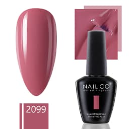 NAILCO 15ml Gel Nail Polish Semipermanente Varnishes Lacquer Esmalte Black White Color UV Lakiery Hybrydowe Vernis Gellak Polish