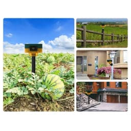 Solar Outdoor Motion Alarm For 360 Degree Infrared Sensor Sound& Light Alarm Light Herramientas Taladros Power Tool Sets