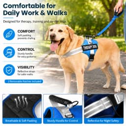 Nylon Reflective Dog Harness Personalized Breathable Dog Harness With ID Name Tag Pet Harness for Small Medium Large Dogs