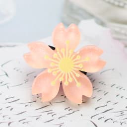 Cute Flowers Fruit Shoe Laces Decorations Buckle Charms Shoelaces for Sneaker Luxury Shoes Accessories for Women Man 1 Pcs